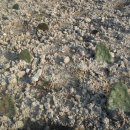 대촌농장 이미지