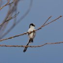 메이폴하우스 이미지