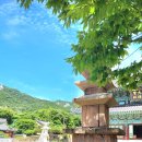 일박이일 Daum카페