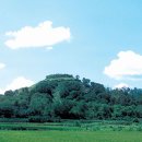 장흥 5리 이미지