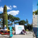 국화전시회 버스킹 문화공연 이미지