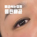 올린배곧 네이버블로그