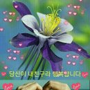 행복 전도사 이미지