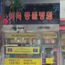 더독 동물병원 이미지