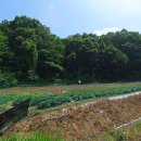 삼축농장 이미지