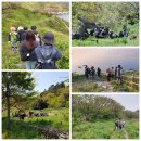 외연도4 이미지