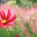 주포농장 이미지