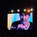 김광석 콘서트 후기 | 규현X박시환 감동의 무대(+수락산 선셋음악회 꿀팁)