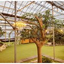 코코테로 이미지