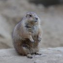 실옥로 이미지
