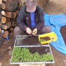 광주동농장 이미지