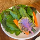 구드래돌쌈밥 | 부여 맛집 부소산성 근처 구드래돌쌈밥 주물럭 쌈밥