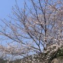 엉클캠프 이미지