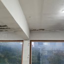 영치과기공소 이미지