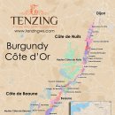 황금의 언덕 부르고뉴 와인 | [레드와인] 오헬리엉 베르데 뉘 생 조르쥬 프리미에 크뤼 레 다모드 2019(Aurelien Verdet Nuits-Saints...