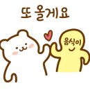 홈리(Homely)