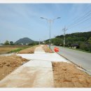 괴시2리 관어대 입구 Daum카페