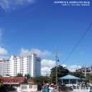 마텍무역 &amp; 케미스카이 워크샵 in 세부, 필리핀 (진에어/제이파크리조트/호핑투어/세부관광)