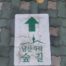 2025 3 10 배수지공원ㅡ금오산공원ㅡ매봉산ㅡ남산(에코님리딩) 이미지