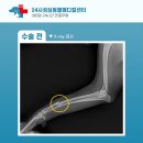 논산동물병원 이미지
