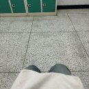 노량진 유도체육관 | Eye と Eye が合ったの