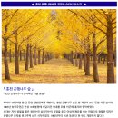 ♣10/22(일)홍천 은행나무숲과 공작산 수타사 산소길 이미지