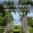 코타키나발루 골프여행 가성비좋은 넥서스리조트와 가람부나이CC