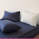 5070 | 데일리 60수 아사 순면 부드러운 베갯잇 베개커버 5070 내돈내산 후기들 공통점 정리