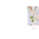 홍스튜디오 이미지
