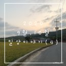 2020_ 9월, 10월 일상 이야기(1)