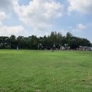 명월초등학교 이미지