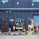 스텔라토 이미지