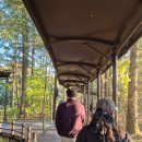 세븐일레븐 광릉수목원점 이미지