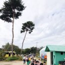 이리별나라어린이집 이미지