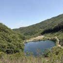 댕댕마트24 - 시흥시 은계호수로 49 | 2026 댕댕트레킹에 참여하다