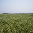 가파초등학교 이미지