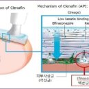 오렌지약국 네이버블로그