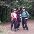 수리산 산림욕장 이미지