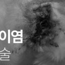 대웅동물병원 이미지