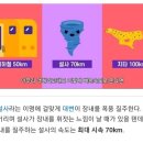 설사의 속도는 정말로 70km/h 일까? 이미지