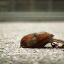 구룡주유소 이미지