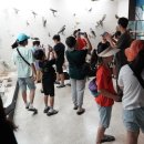 제주야생동물구조센터 이미지