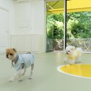 헬로우버디 분당점 이미지