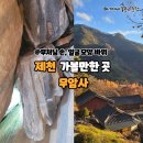 무암사 - 1583 | 제천 아직 알려지지 않은 숨은 명소 , 제천 가볼만한 곳 금수산 무암사/ 부처님 형상 바위 😮✨