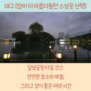 달성정비 | 달성공원 다음 코스, 밤이 더 아름다웠던 수성못 산책 후기. 야경, 분수, 공연까지