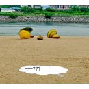 화계장터 이미지