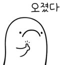 진영모터스 이미지
