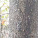 하늘소한의원 이미지