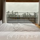 미들 도어 | 제주 서귀포 감성숙소 미들도어 door133 후기