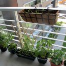 나가지농장 이미지